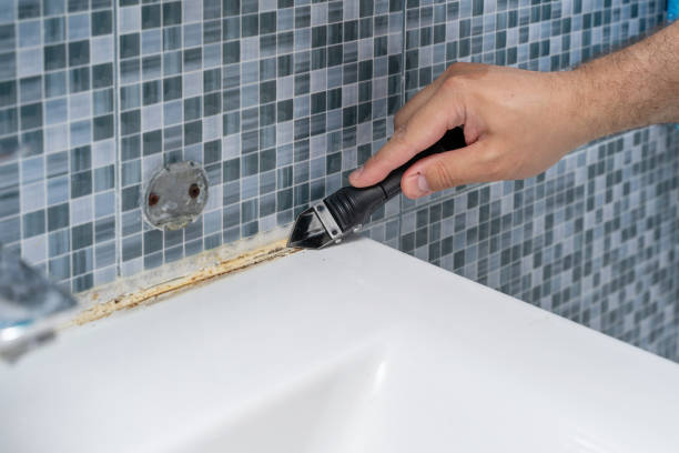 Best Affordable Mold Removal  in Wymore, NE